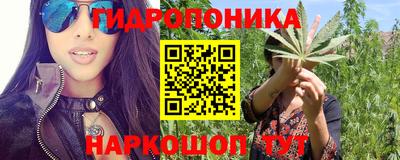 спиды Ливны