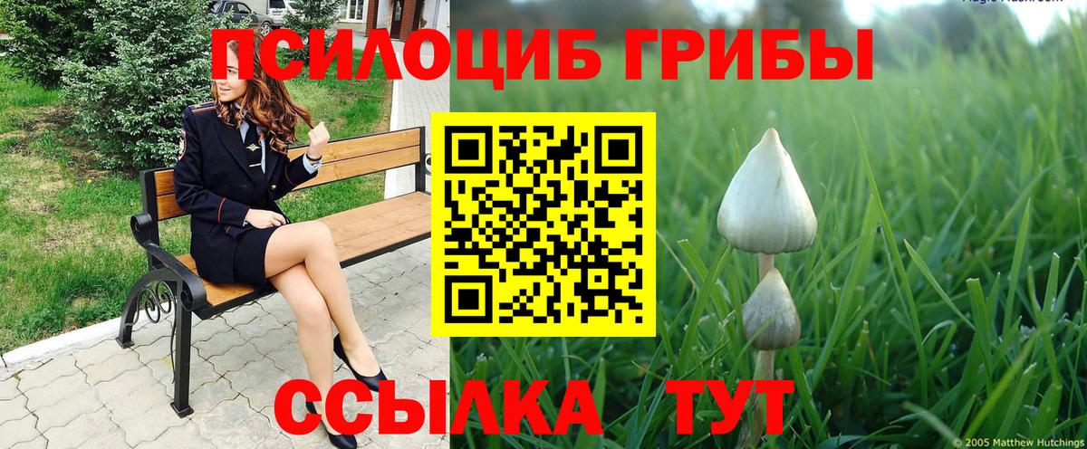 Галлюциногенные грибы Psilocybine cubensis Казань